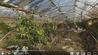 Julien, jeune maraîcher dont l’exploitation a été inondée par le fleuve le Loup, dans la plaine maraîchère de Villeneuve-Loubet (06), témoigne de l’impact sur ses revenus pour plusieurs mois. ©Chambre agriculture 06